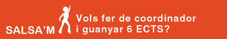 Programa Salsam - beca coordinador